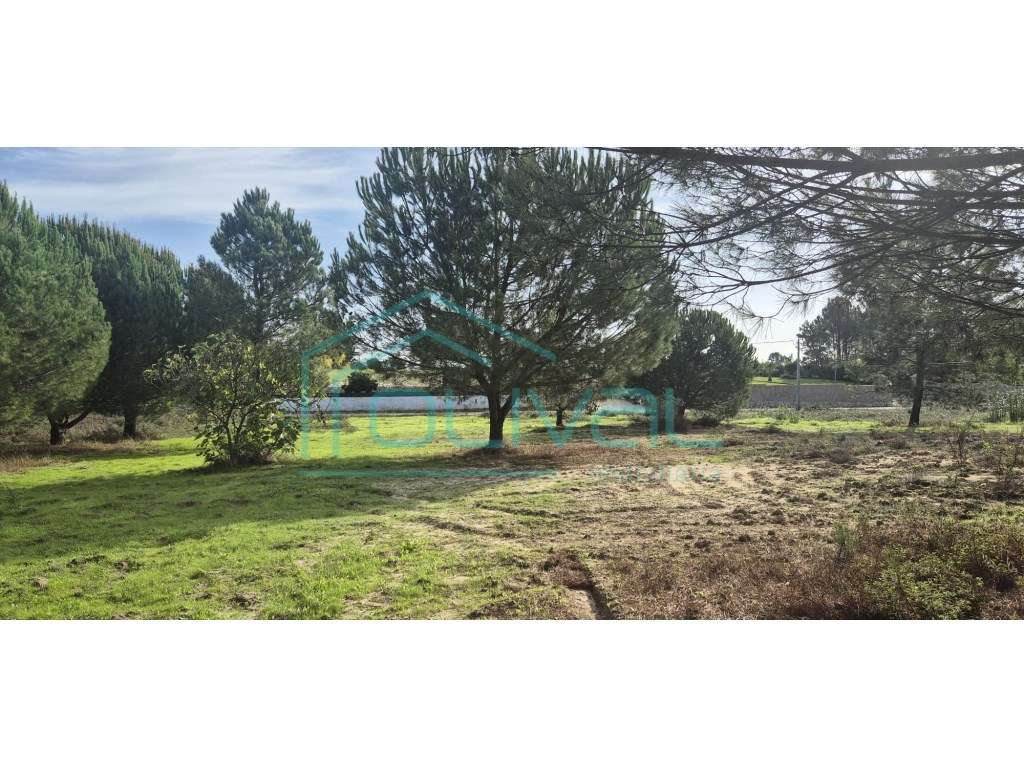 Terreno Foros da Charneca - Grande imagem: 4/12