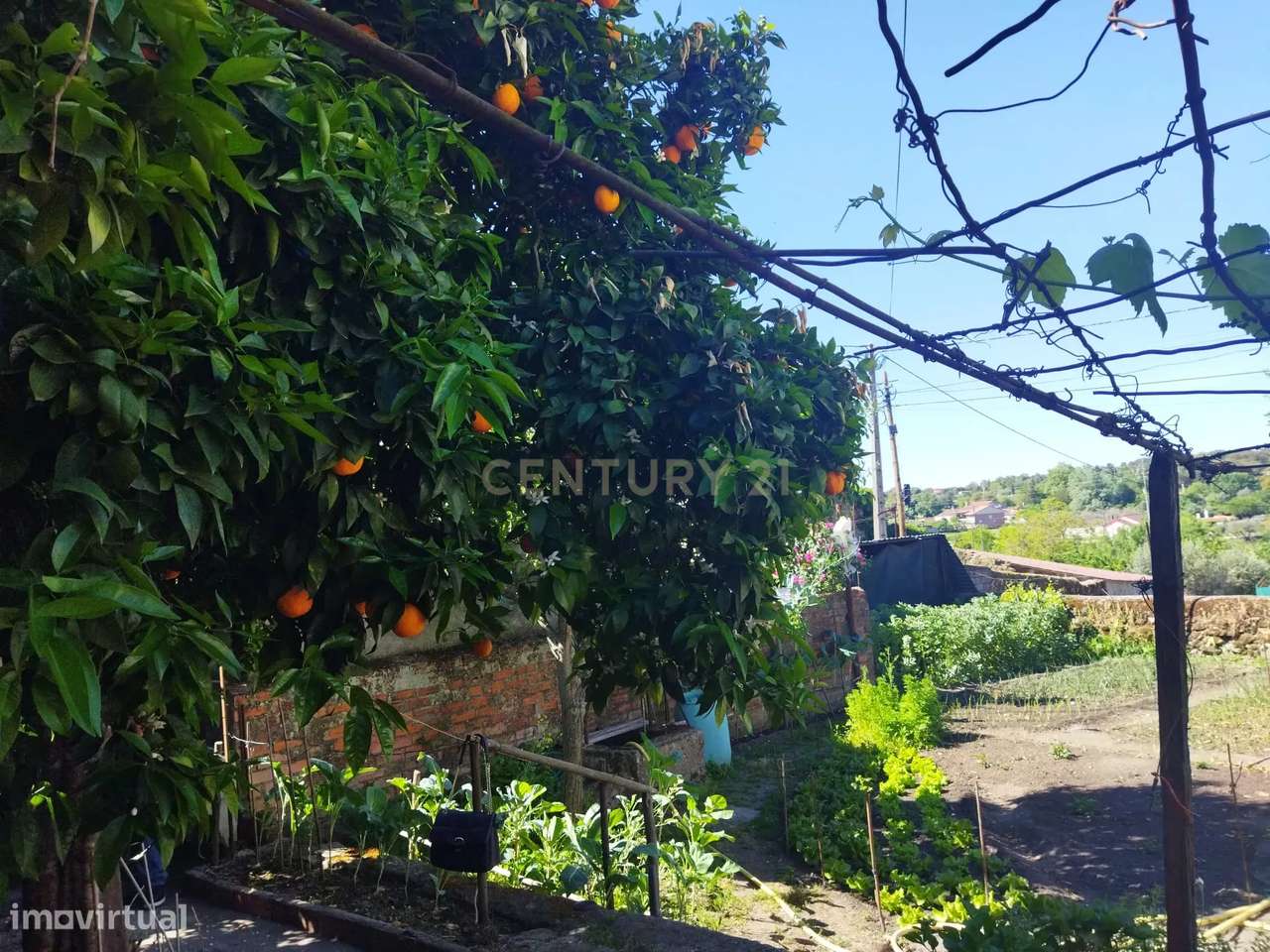 Moradia T3 | Escalos de Baixo, Castelo Branco - Grande imagem: 4/19