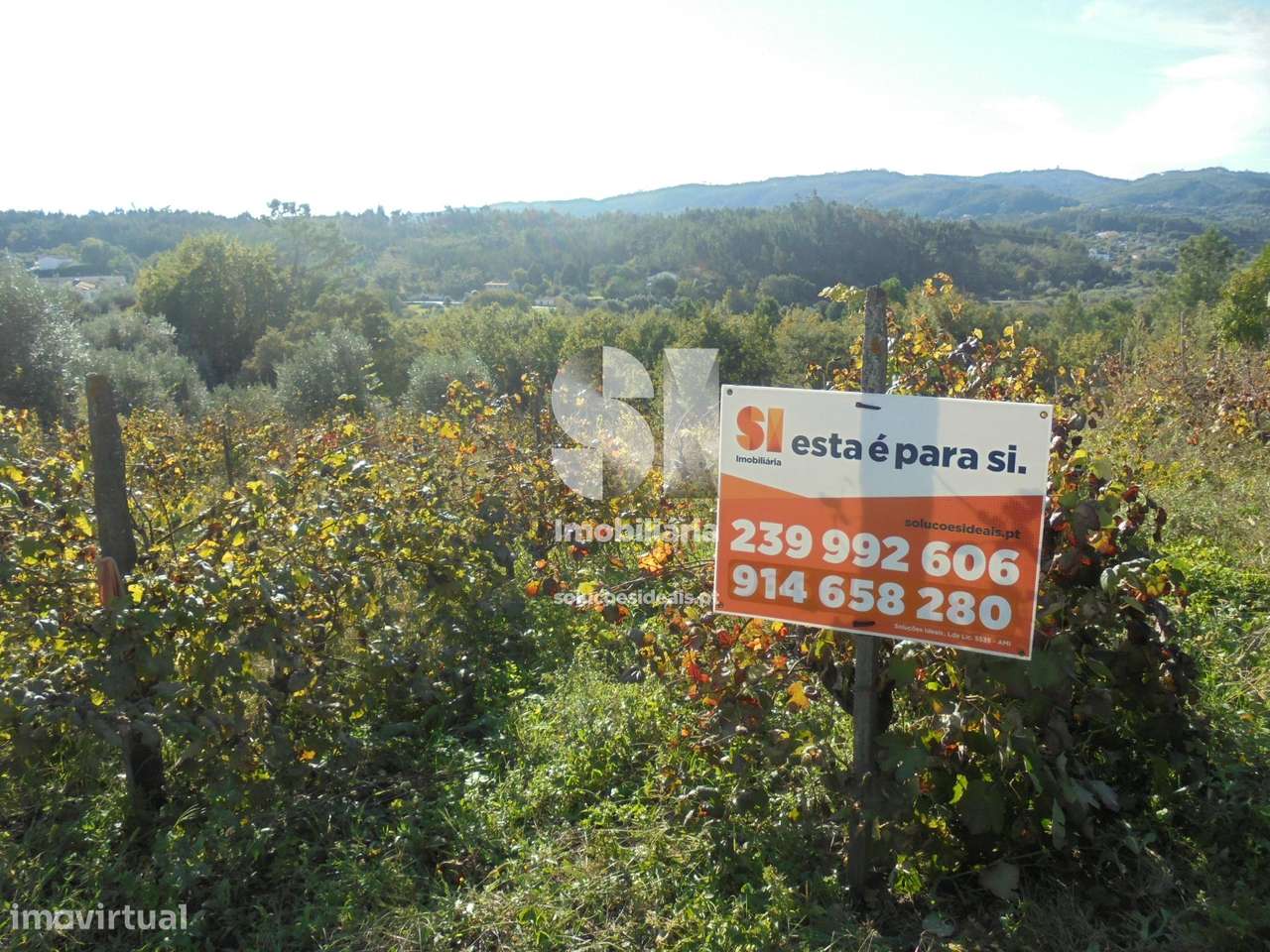 Terreno - Vila Nova de Poiares - Grande imagem: 5/12