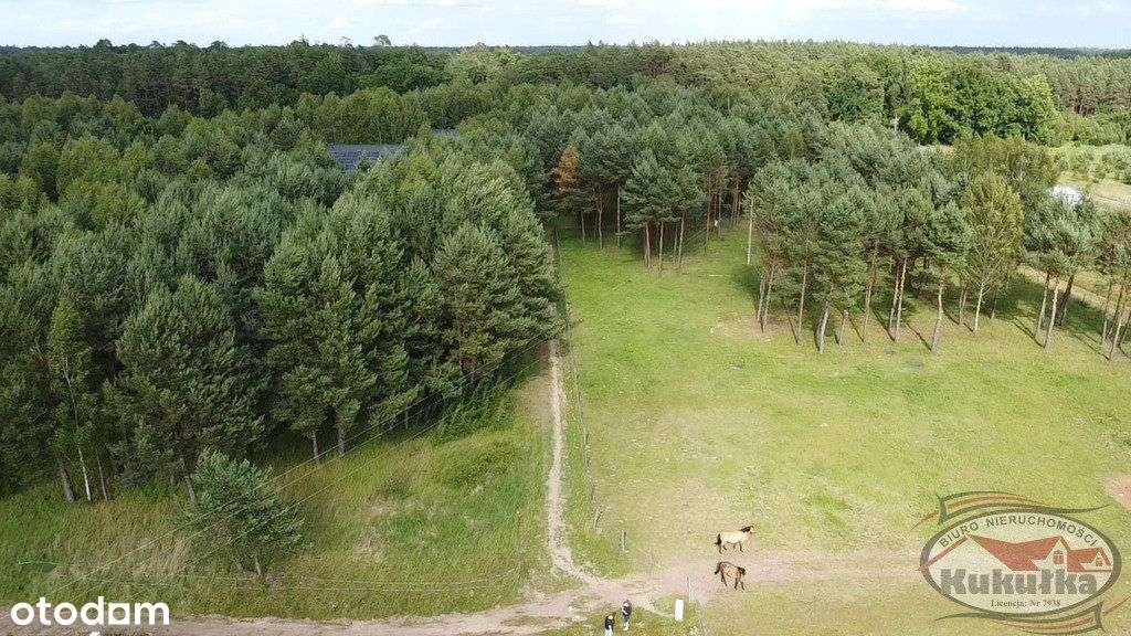 Malownicze Działki W Dankowie - Pełny obrazek: 4/9