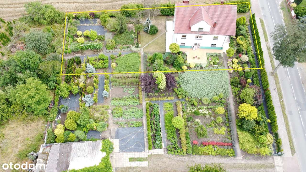 Dom z potencjałem  w Gubinie .Cena do negocjacji. - Pełny obrazek: 3/20