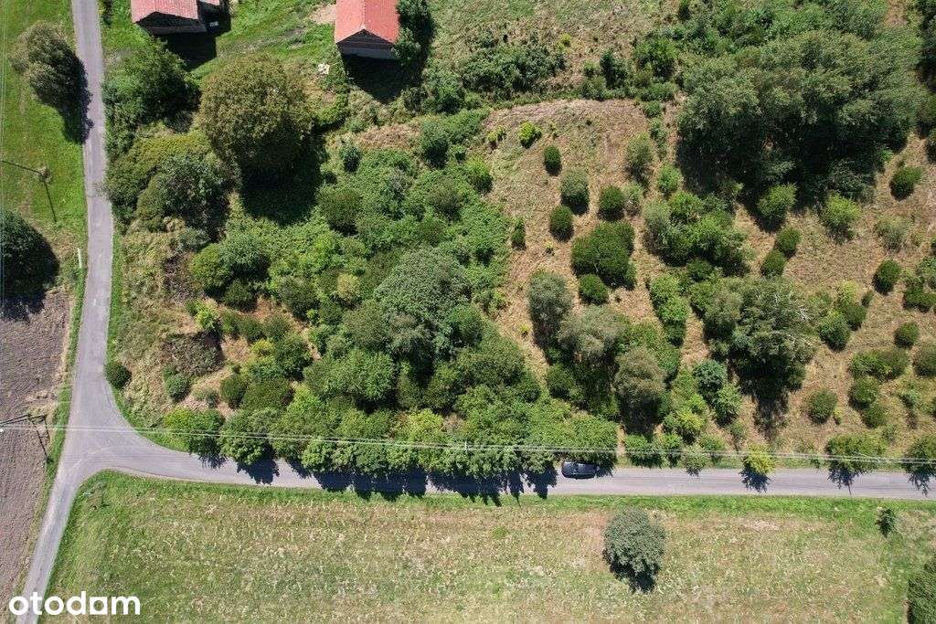 Malownicza działka budowlana 2087 m2 Wykroty - Pełny obrazek: 4/6