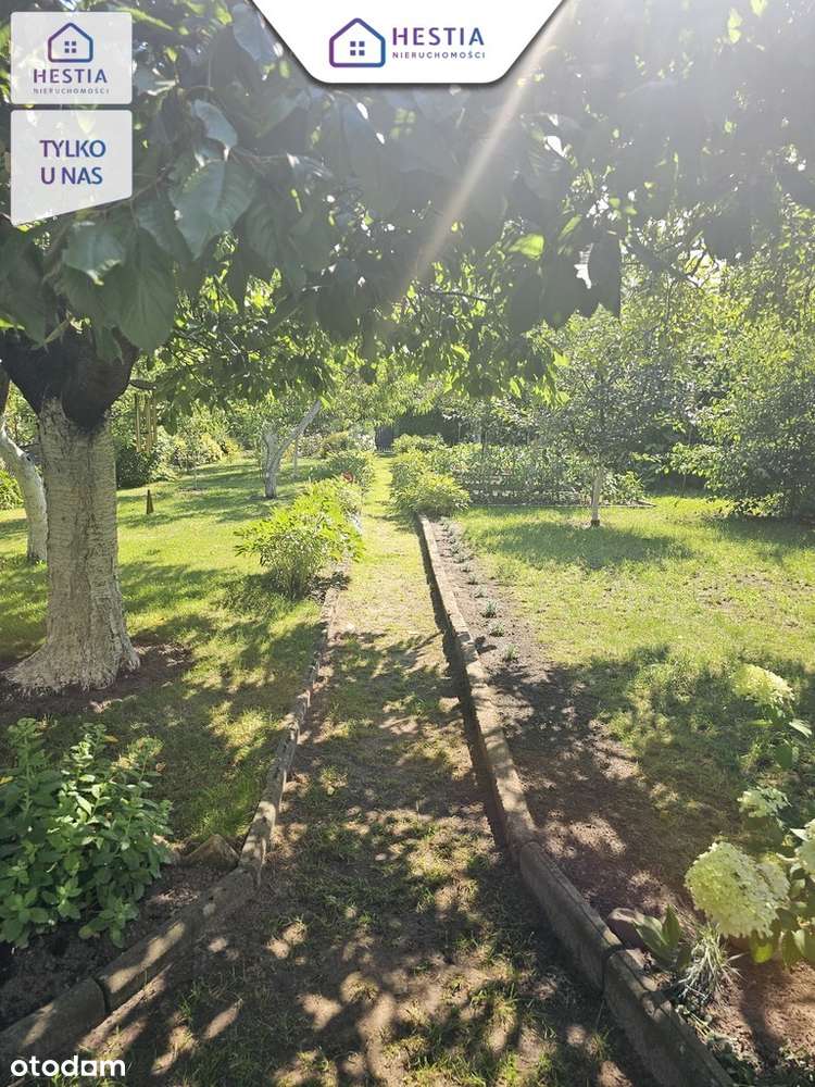 Piękna zagospodarowana działka ROD!! - Pełny obrazek: 3/11