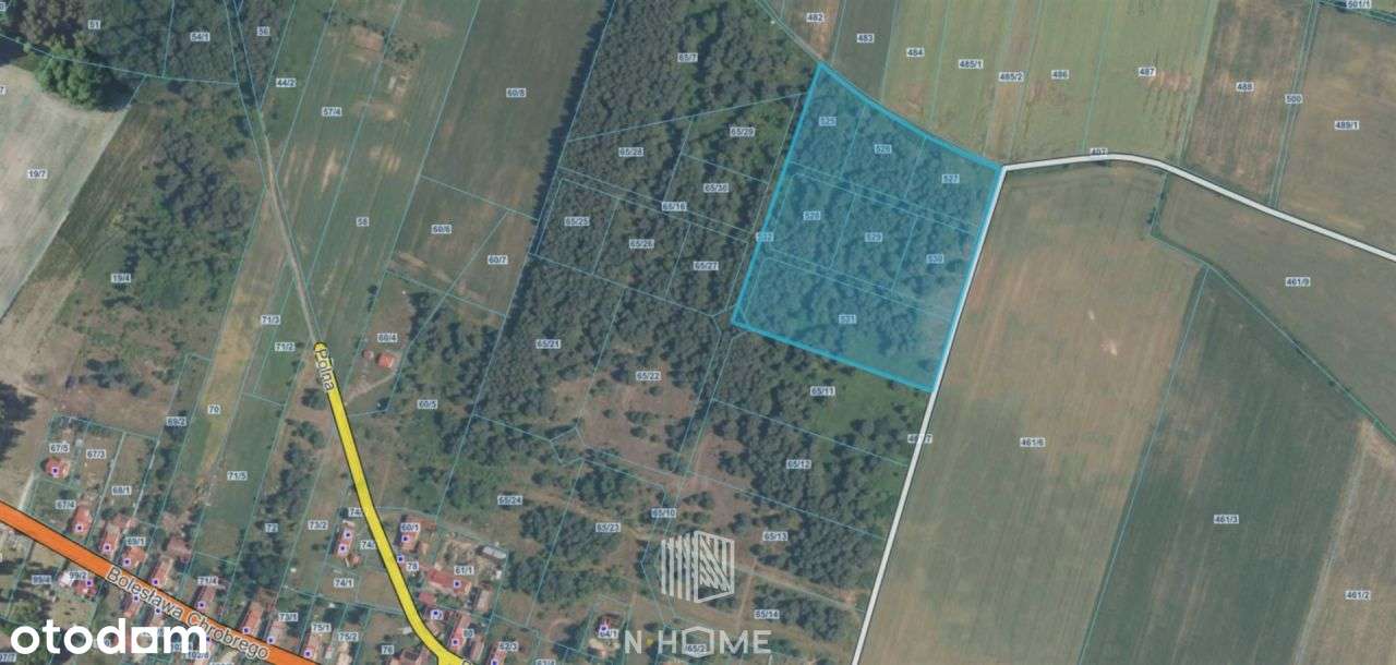 3ha w pobliżu Stobrawskiego Parku Krajobrazowego - Pełny obrazek: 4/11