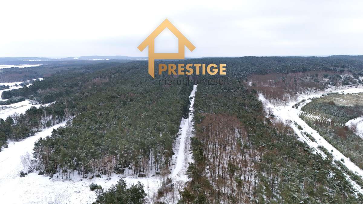 Wyjątkowa enklawa 4,94ha działka budowlana z lasem-4