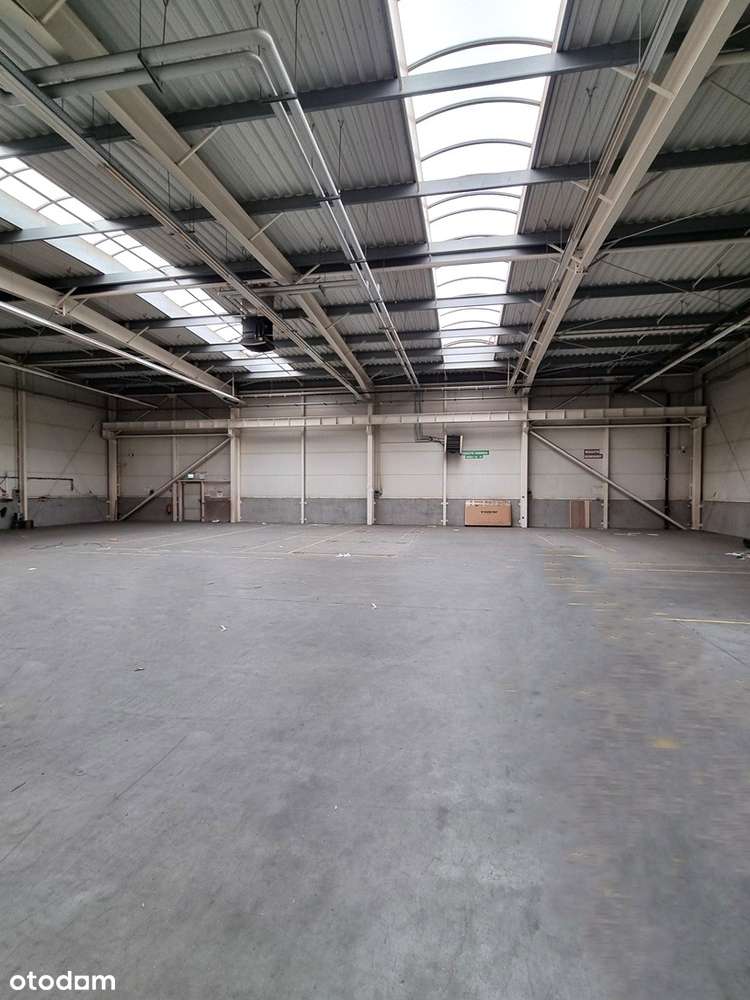 Gm.Suchy Las nowoczesny obiekt 3437m2(hala+biuro)+namiot -0 PROWIZJI - Pełny obrazek: 4/18