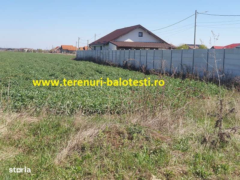 Teren Balotesti,550 mp,langa casa locuita,electricitate ,gaz-4