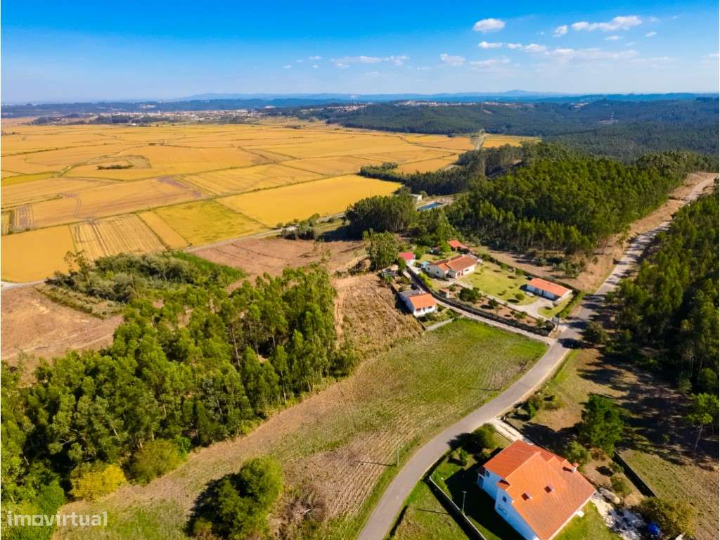 Terreno! Castela! Paião! Figueira da Foz - Grande imagem: 5/13