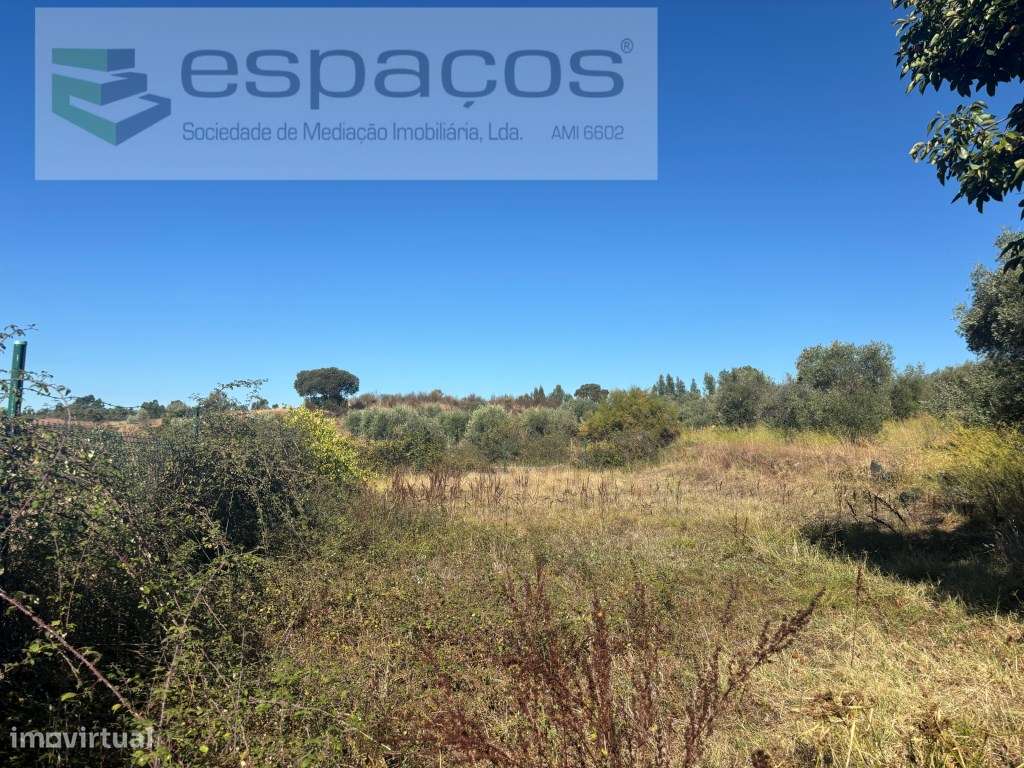 Moradia com terreno-14