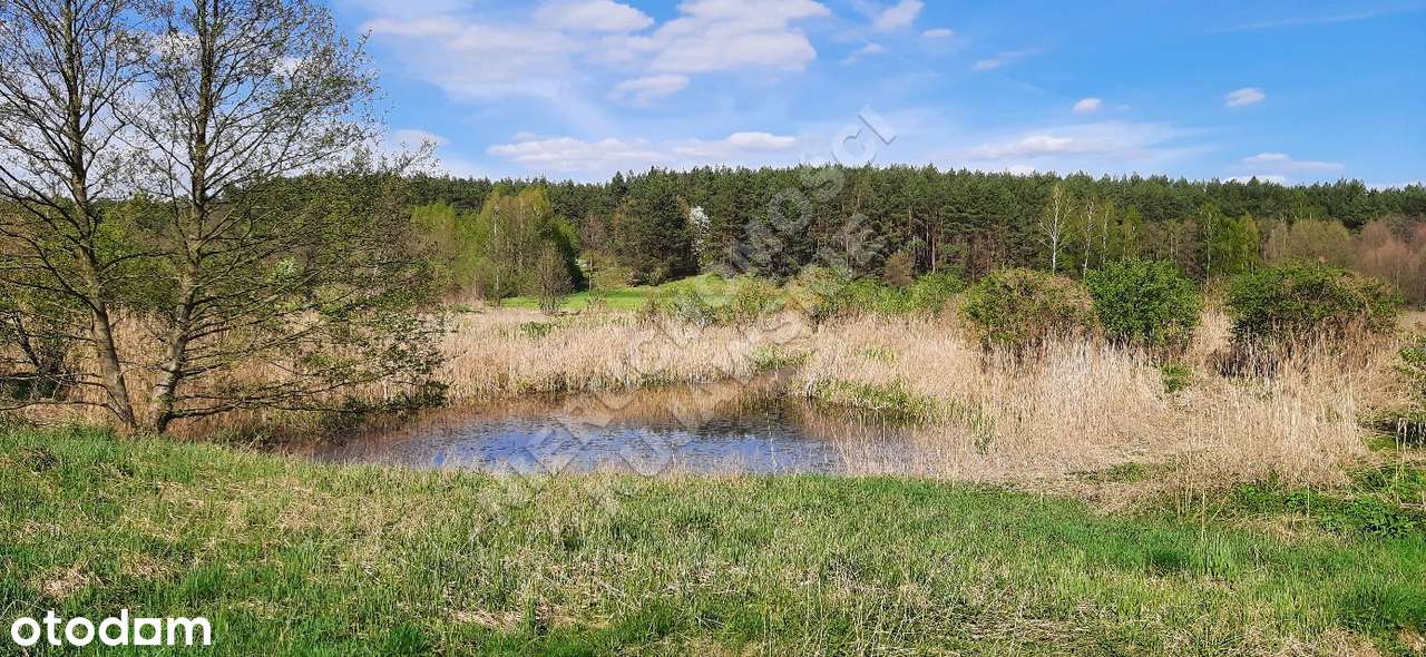 Nieruchomość letniskowo - rekreacyjna 1,1ha, budynki 130m2, staw 730m2 - Pełny obrazek: 3/11
