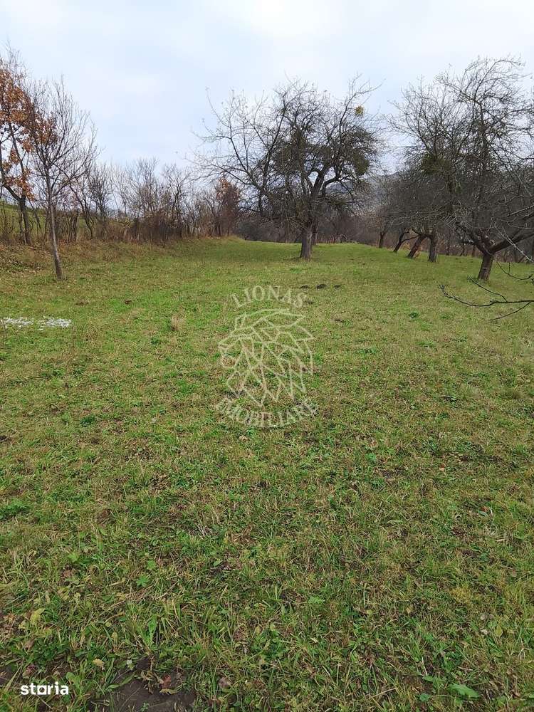 Teren 3966 mp-2 deschideri-curent-investitie-Budacu de Sus - Imagine principală: 5/5