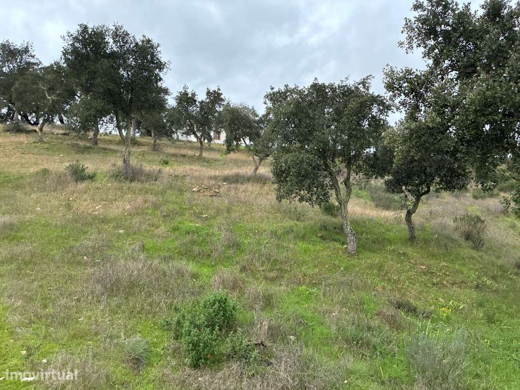 Quinta T2 em Serpa | Vista para a barragem-26