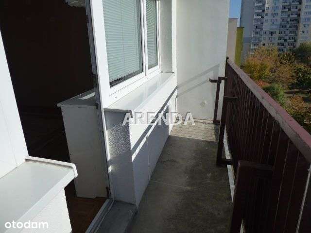 ładne M-3 dwa pokoje Szwederowo Konopnickiej-5