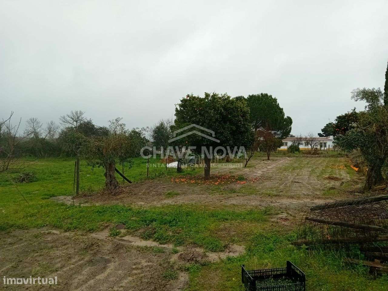 Uma verdadeira oportunidade, uma casa com 1,5 hectares de terreno.-18