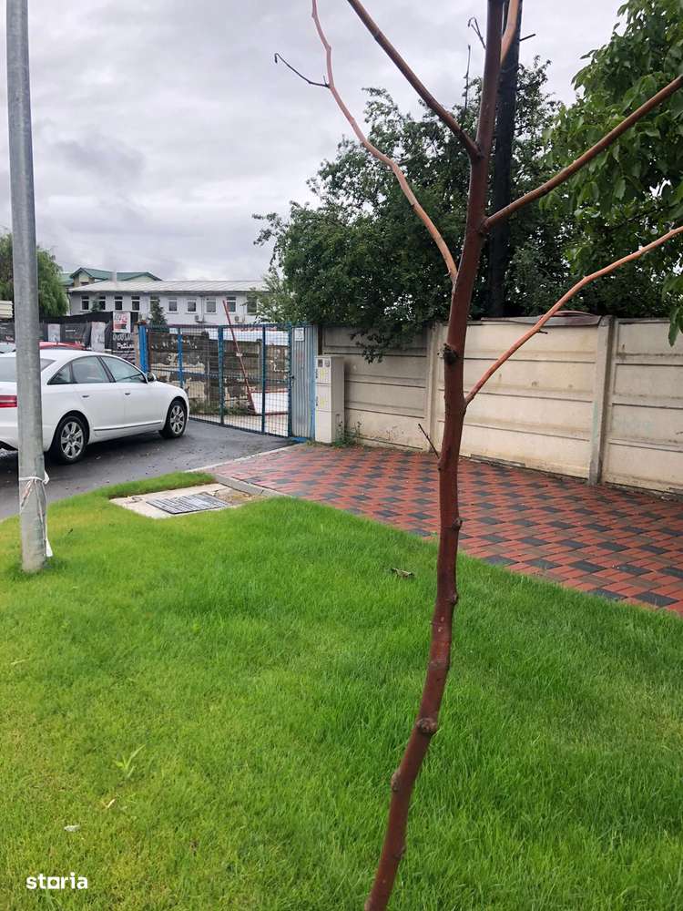 Teren 3500 mp – Utilități Complete: Apă, Gaz, Curent, Canalizare - Imagine principală: 1/3