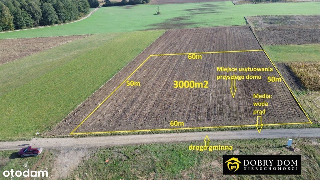 Działka, 3 000 m², Niewodnica Nargilewska-Kolonia