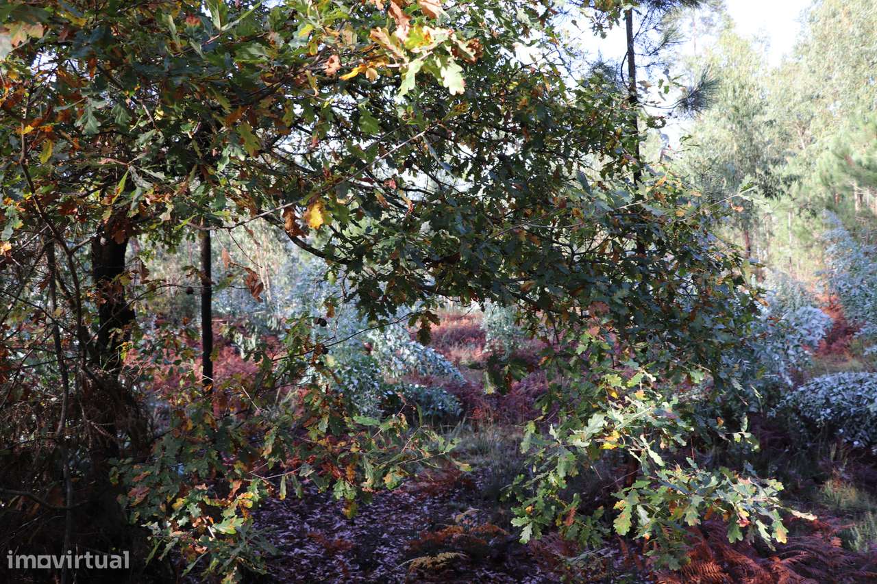 Terreno Para Construção  Venda em Lustosa e Barrosas (Santo Estêvão),L - Grande imagem: 3/8
