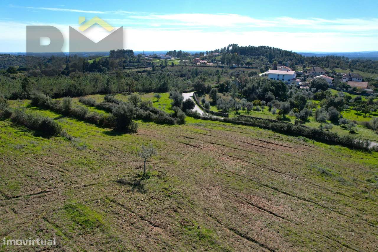 Terreno Rústico  Venda em Ninho do Açor e Sobral do Campo,Castelo Bran - Grande imagem: 5/8