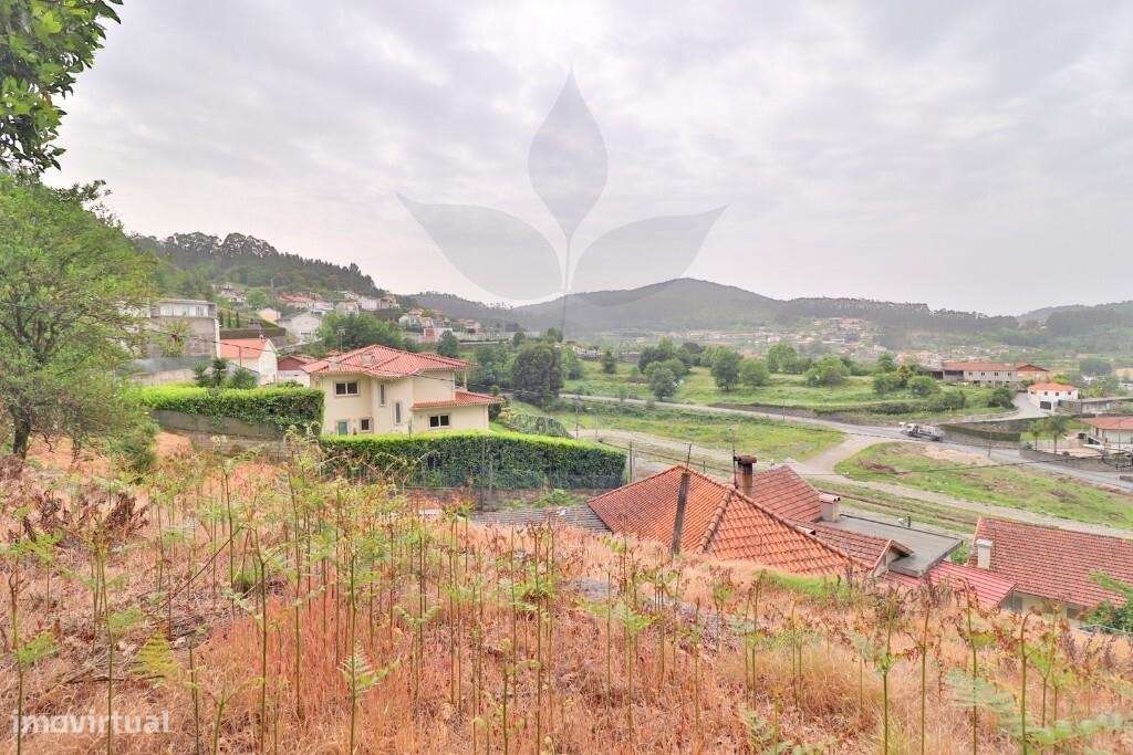 Duas Moradias em Escudeiros c/ aprox. 3.200m2 de terreno-20