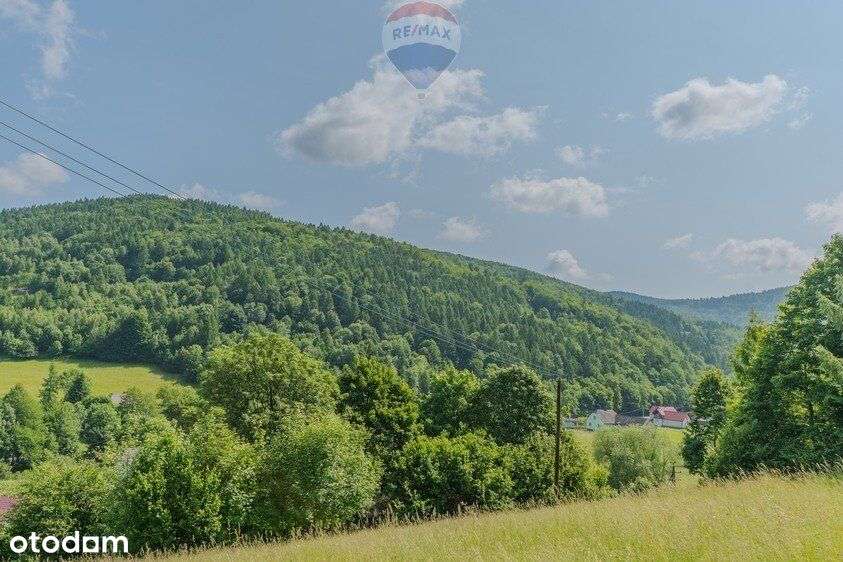 Działka leśna Rzyki - Pełny obrazek: 5/9