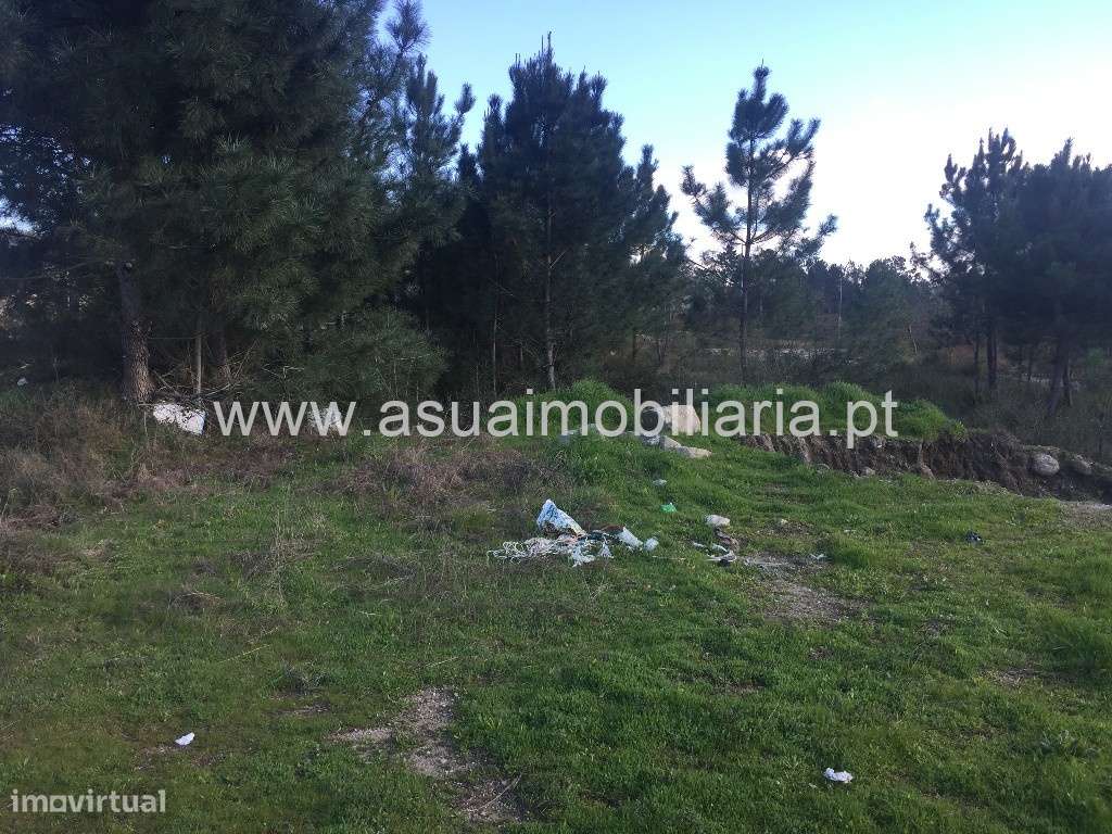 Lote Industrial - Monsul - Grande imagem: 2/5