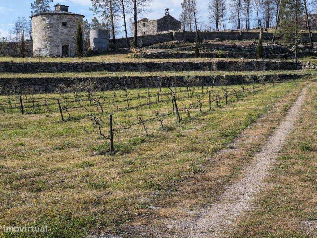 ATIVO TURÍSTICO + QUINTA DE EXCEÇÃO NA BEIRA ALTA-30
