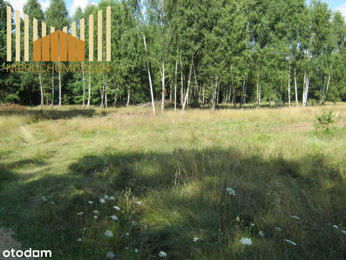 Działka dla znudzonych miastem !!!!!! - Pełny obrazek: 5/8