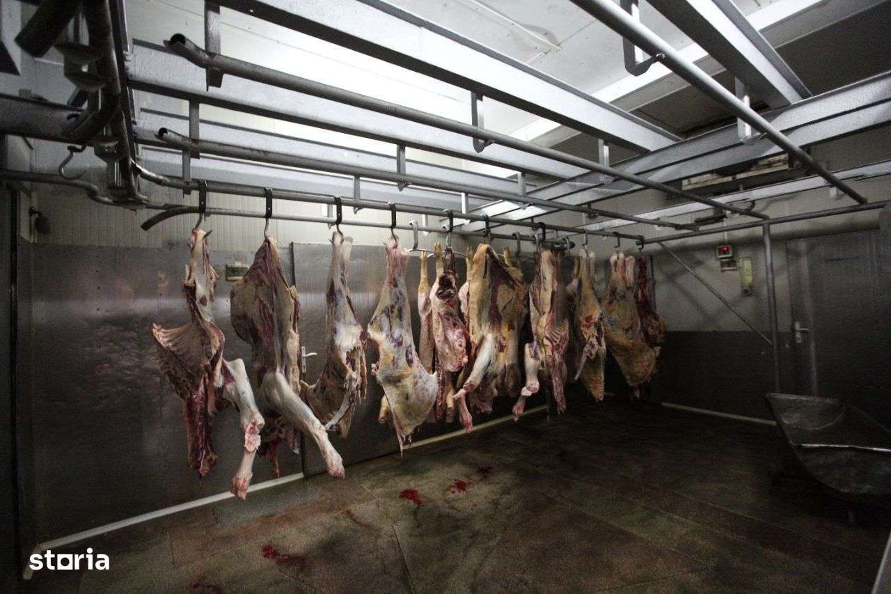 Abator complet functional cu grajduri pentru animale in Bod Colonie-5