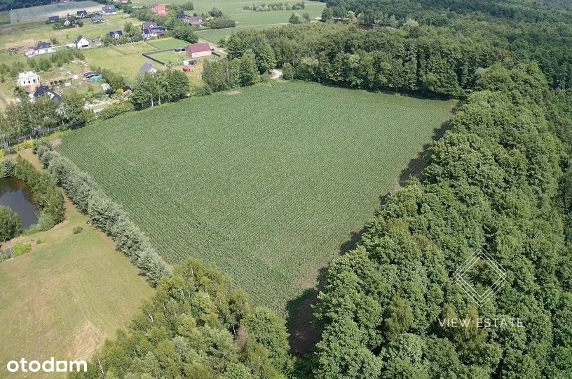 Piękna działka przy Lesie w Ligocie Małej