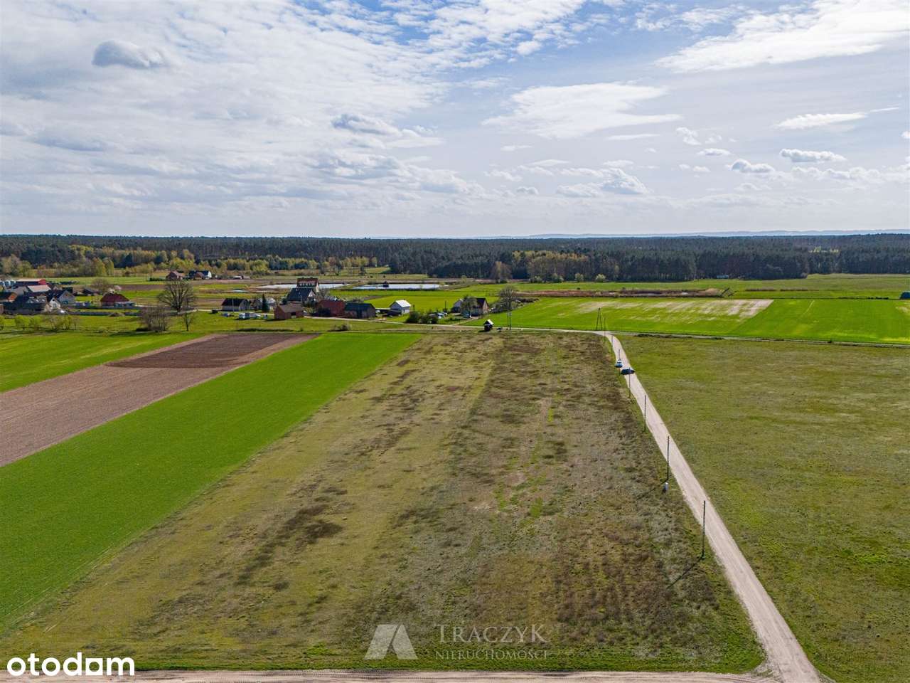 Film,Dolina Baryczy,media w drodze, las, jeziora, - Pełny obrazek: 5/8