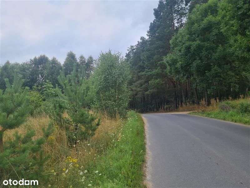 Działka rolna - Tereszewo-4