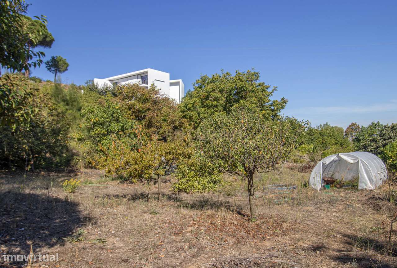 Quinta na Arrábida com moradia T5 de 364 m2 em lote de 13 520 m2 Onde-51