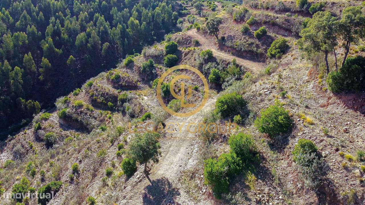 Propriedade de 10 hectares perto da barragem de Odelouca-17