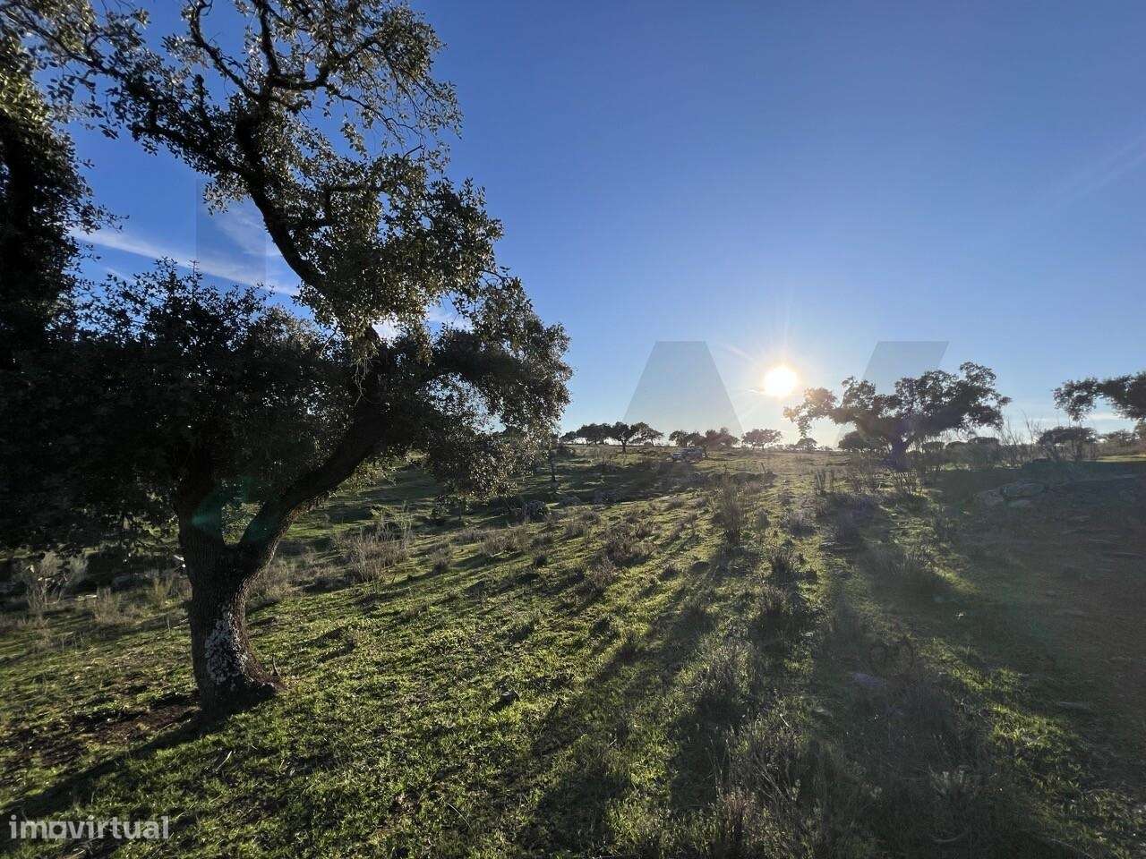 Herdade Exclusiva Junto à Barragem do Alqueva – Investimento Turístico-17