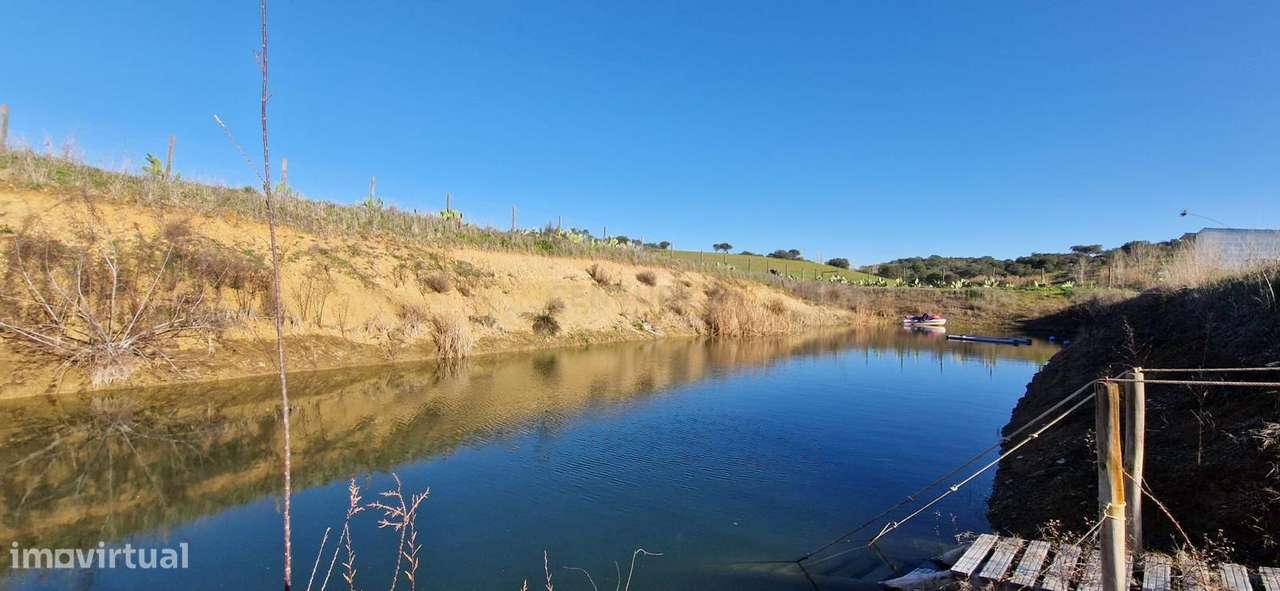 Herdade de 62 Hectares no Coração do Alentejo – Évora  - Agricultura --9