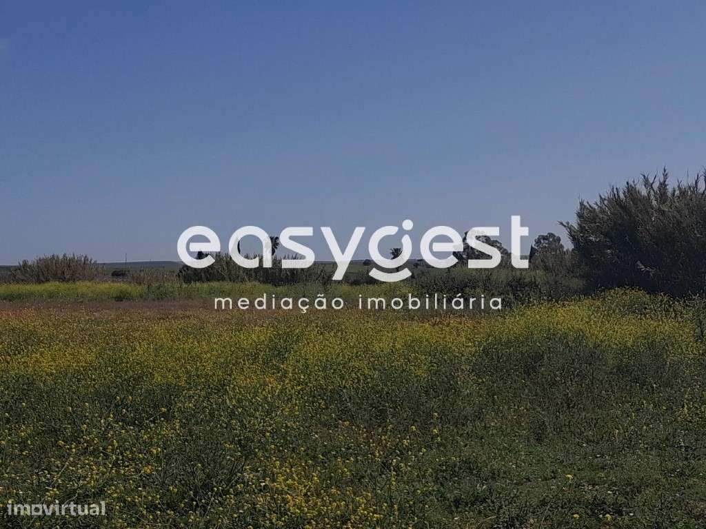 Terreno em Beja com 20.000 m2, acesso pela Estrada Nacional - Grande imagem: 5/41