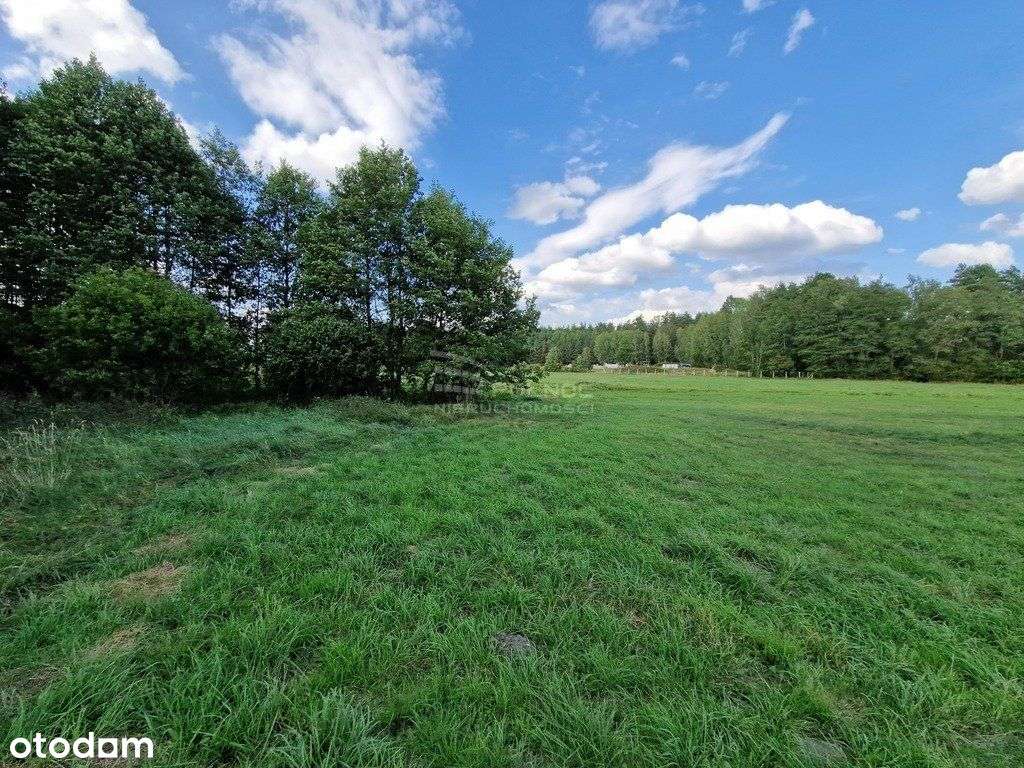 Rolna działka 0,8 ha Krynickie gm. Zabłudów - Pełny obrazek: 4/18