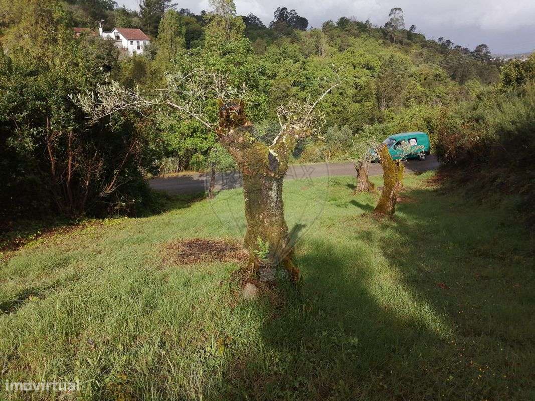 Terreno  para venda - Grande imagem: 4/4