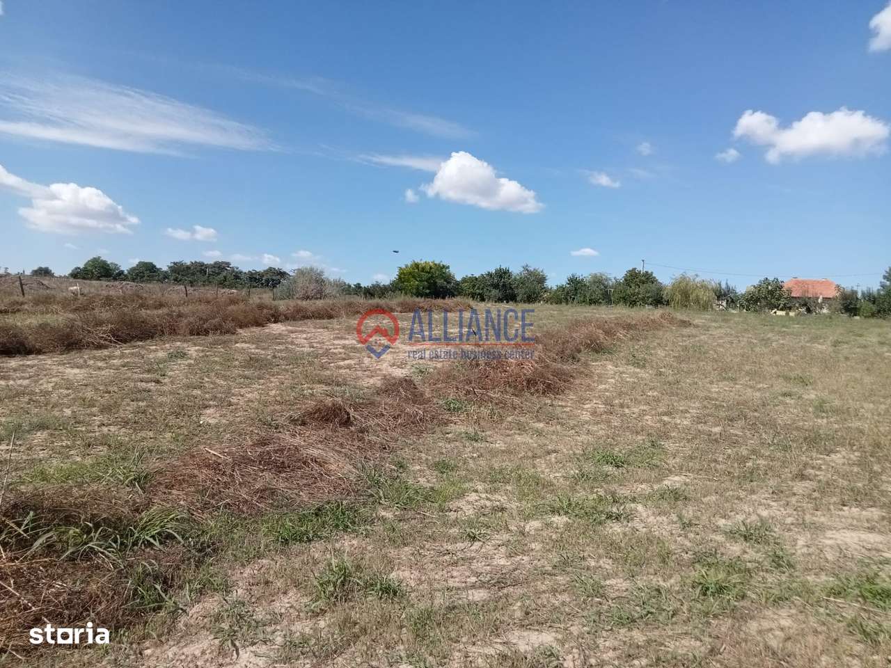 Teren intravilan 4.000 mp - Gradina, jud. Constanta-9