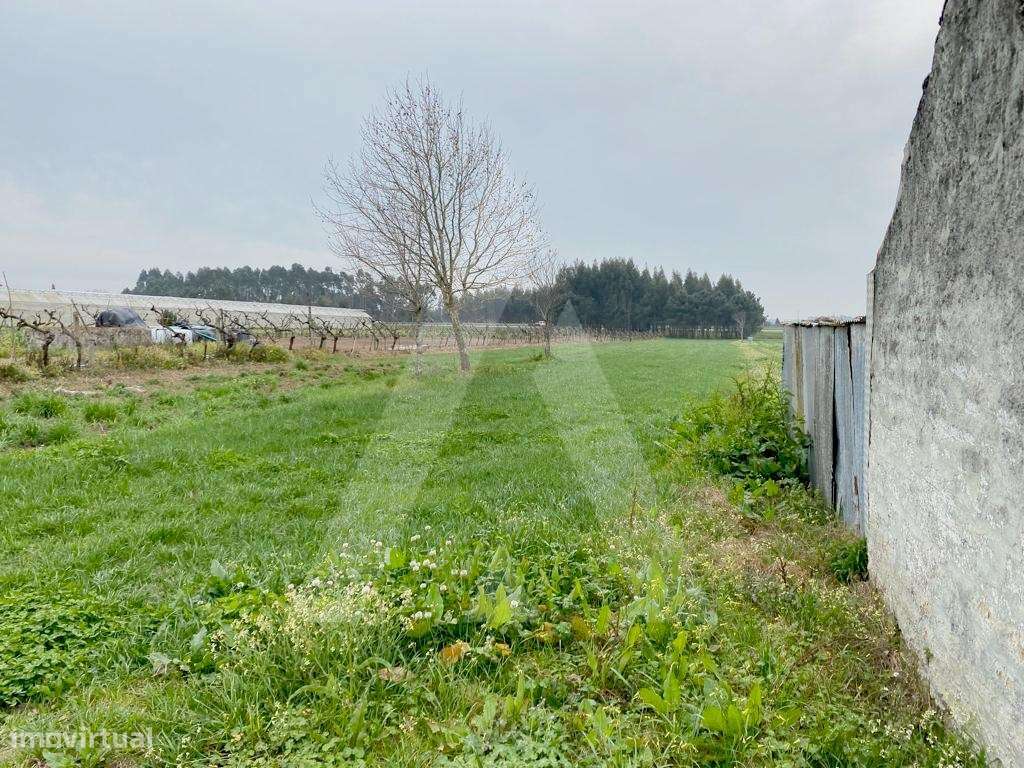 Terreno em São Bernardo - Grande imagem: 4/8