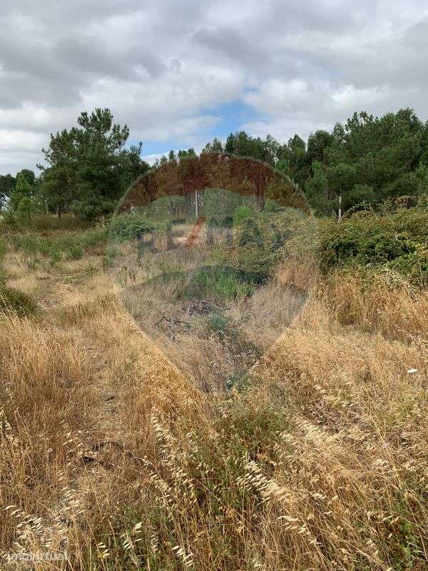 Terreno  para venda - Grande imagem: 3/8