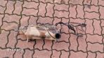 Katalizator filtr DPF VW Transporter T5 2.5 TDI 7H0254700P 7H0181AB - 1