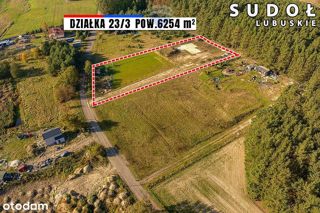 Bajeczna działka pod lasem z rozpoczętą budową! - Pełny obrazek: 4/17