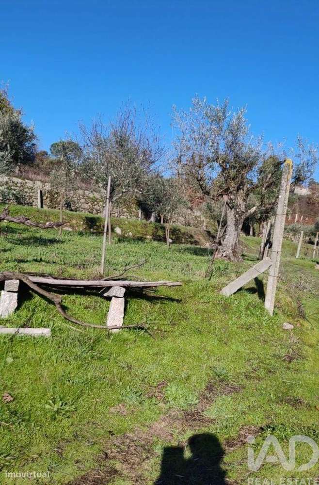 Terreno em Oliveira do Hospital e São Paio de Gramaços - Grande imagem: 4/6