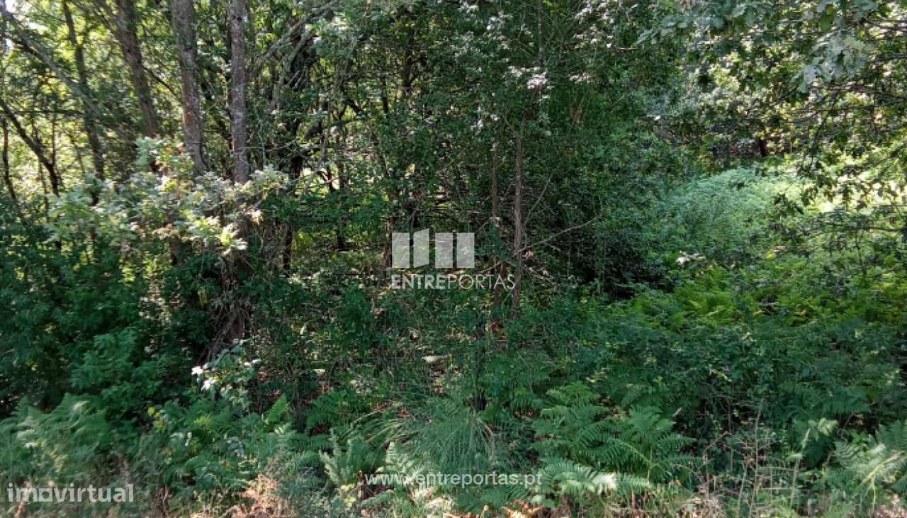 Venda de Terreno Industrial, Mazarefes, Viana do Castelo - Grande imagem: 5/27