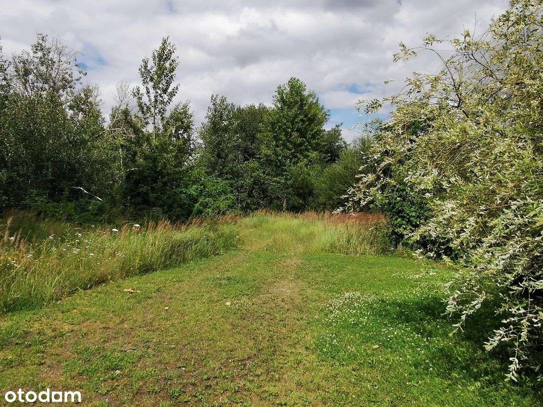 Nieruchomość 1,9 ha, pod zabudowę prod.-usł. - Pełny obrazek: 4/20