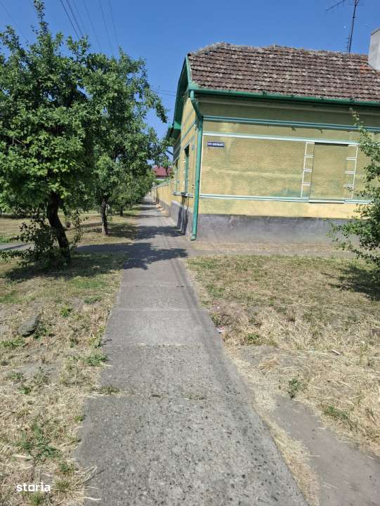 CASĂ MARE in Nadlac cu teren generos 2095mp-9