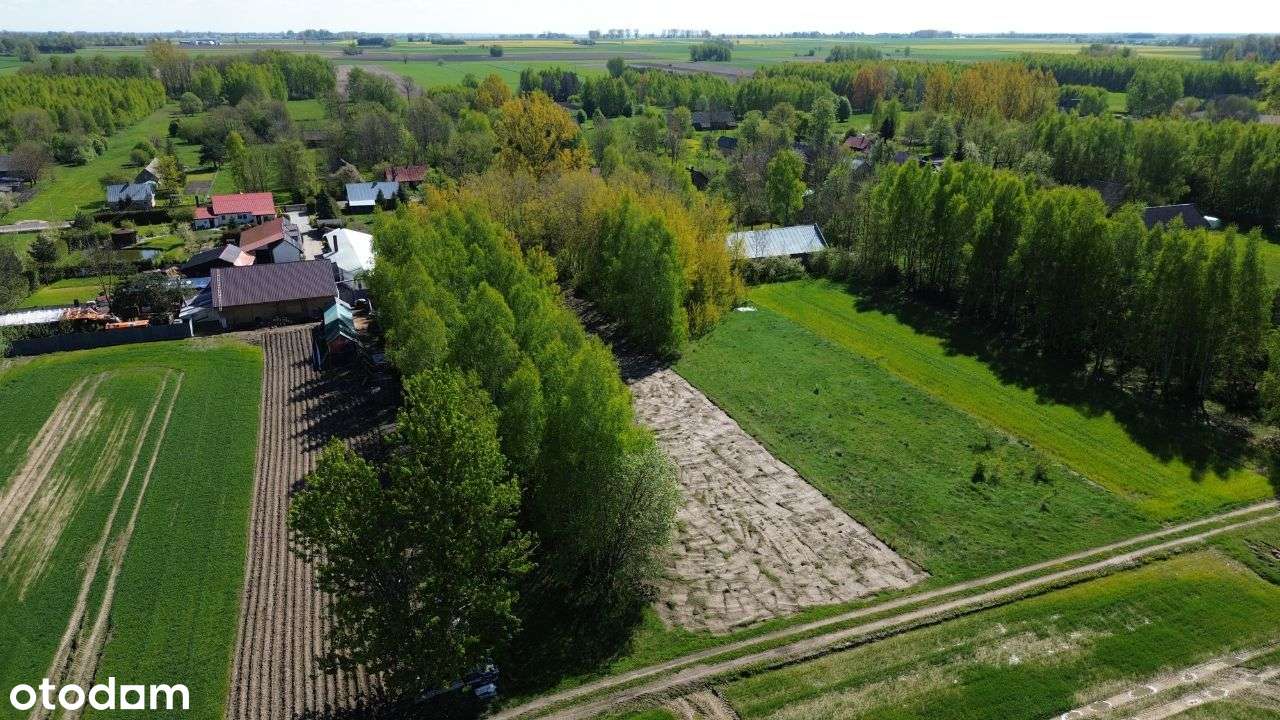 Podlaska wieś - domek z ułatwionym remontem! - Pełny obrazek: 4/19