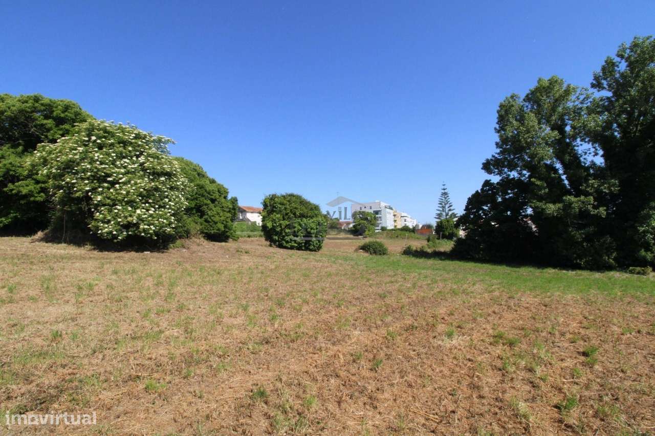 Terreno com 7.813 m² no Centro de Oliveira do Douro | Vila Nova de ...-18
