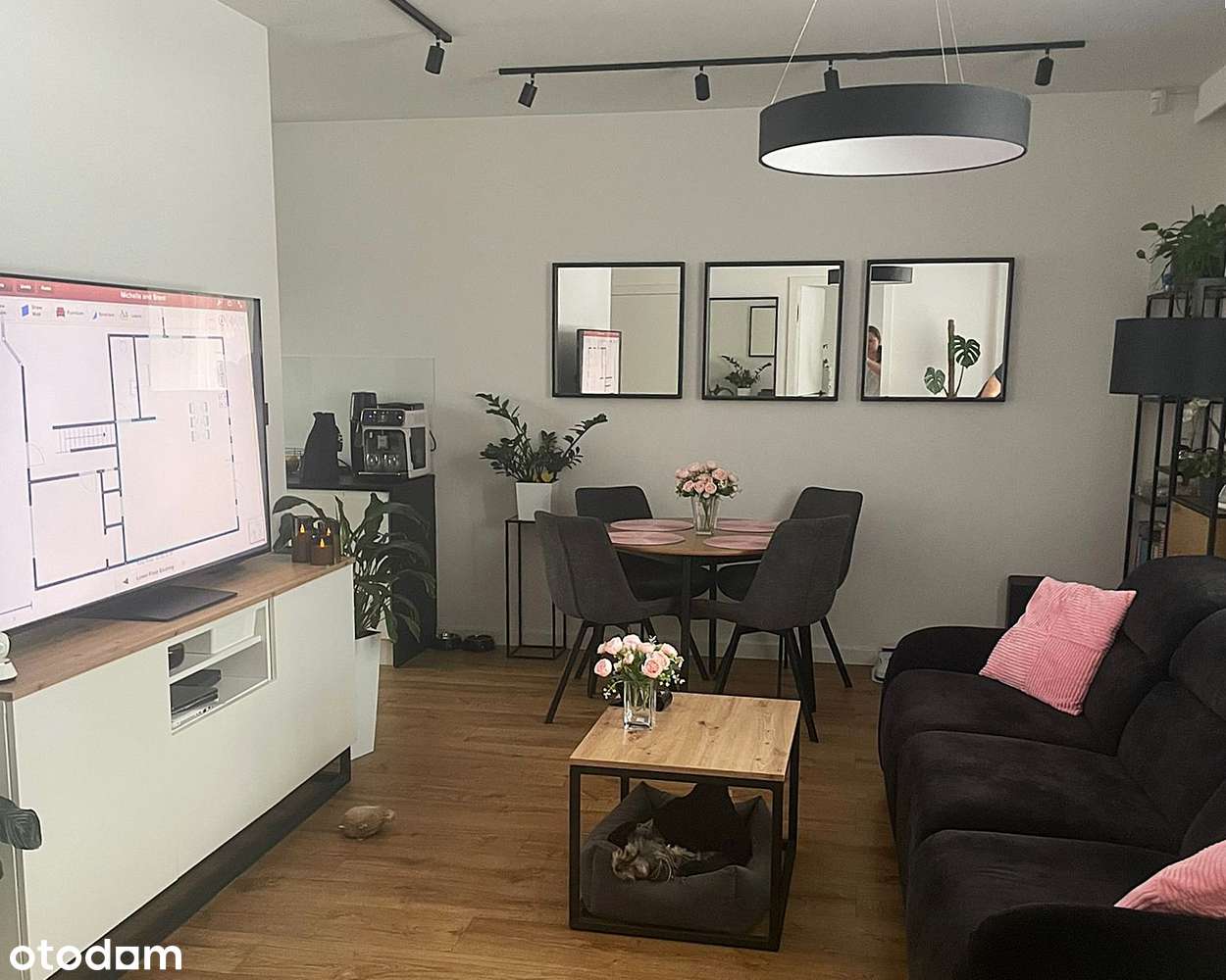 Bez czynszu! Parter z ogrodem 188m² – pohled 2